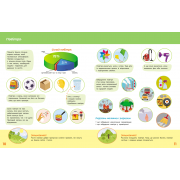 Школа Кенгуру. Пізнаємо світ. II крок