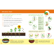 Школа Кенгуру. Пізнаємо світ. III крок