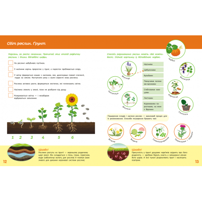 Школа Кенгуру. Пізнаємо світ. III крок Школа Кенгуру. Пізнаємо світ. III крок