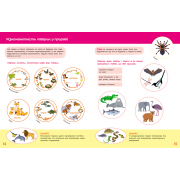 Школа Кенгуру. Пізнаємо світ. III крок