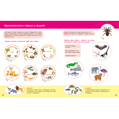 Школа Кенгуру. Пізнаємо світ. III крок Школа Кенгуру. Пізнаємо світ. III крок