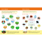 Школа Кенгуру. Пізнаємо світ. IV крок