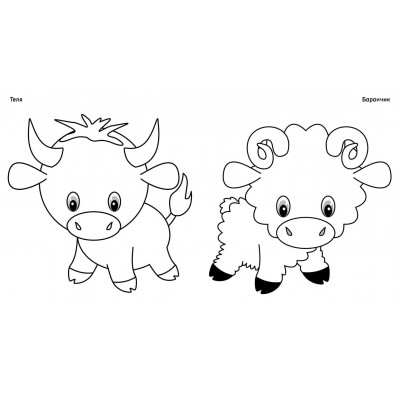 Чудові фарби. Тварини Чудові фарби. Тварини