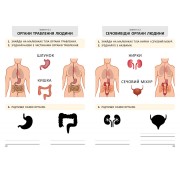 Я дорослішаю. Статеве виховання. Робочий зошит. Крок 2
