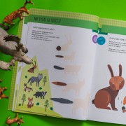 Монтессорі: світ досягнень. Моя перша книга з фантастичними наліпками. У лісі