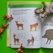 Монтессорі: світ досягнень. Моя перша книга з фантастичними наліпками. У лісі