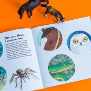 Дізнавайся про світ разом із нами! Які органи чуття у тварин?