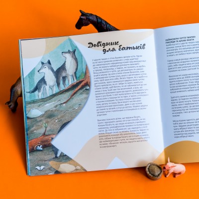 Узнавай о мире вместе с нами! Какие органы чувств у животных? Узнавай о мире вместе с нами! Какие органы чувств у животных?