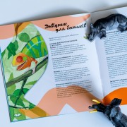 Дізнавайся про світ разом із нами! Кольори у світі тварин