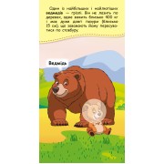 Книжка у кишеню з наліпками. Де чий малюк?