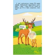 Книжка у кишеню з наліпками. Де чий малюк?