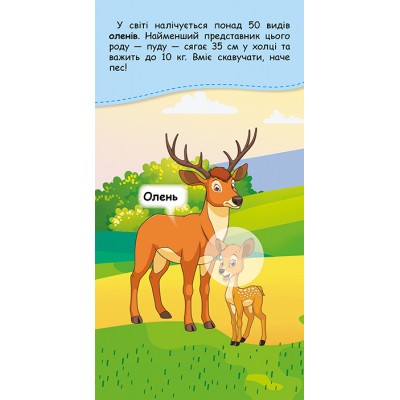 Книжка у кишеню з наліпками. Де чий малюк? Книжка у кишеню з наліпками. Де чий малюк?