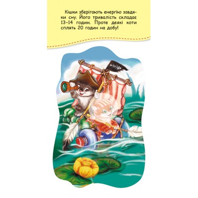 Книжка у кишеню з наліпками. Кошенята – витівники Книжка у кишеню з наліпками. Кошенята – витівники