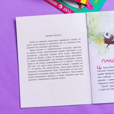 Казки-хвилинки. Коала-сонько. Читаємо 10 хвилин. 2-й рівень складності Казки-хвилинки. Коала-сонько. Читаємо 10 хвилин. 2-й рівень складності