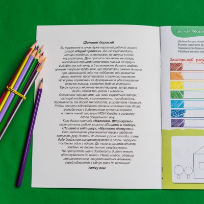 Перші прописи. 5+ Малюємо. Штрихуємо Перші прописи. 5+ Малюємо. Штрихуємо
