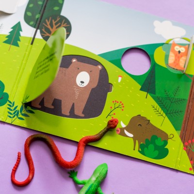 Книжка з віконцями. Хто сховався у лісі Книжка з віконцями. Хто сховався у лісі