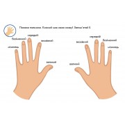 Багаторазові прописи. Тренажер для рук