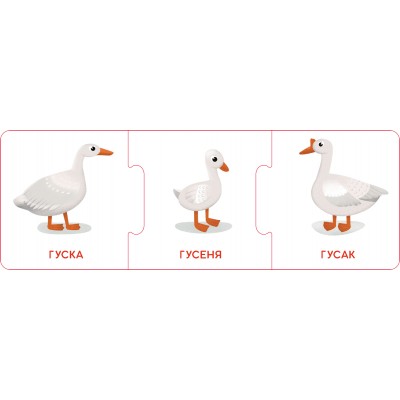 Логічні ланцюжки. Малюки тварини та їхні родини Логічні ланцюжки. Малюки тварини та їхні родини