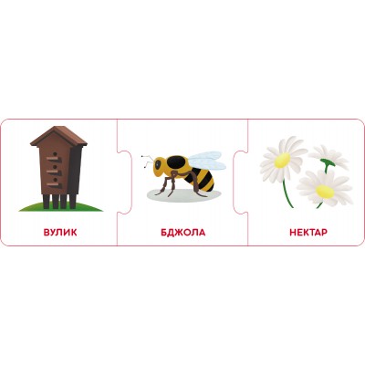 Логічні ланцюжки. Світ тварин. Хто де живе і що їсть Логічні ланцюжки. Світ тварин. Хто де живе і що їсть