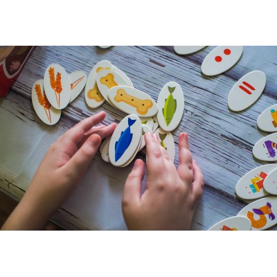 Гра-сортер. Нагодуй тваринку. Домашні улюбленці Гра-сортер. Нагодуй тваринку. Домашні улюбленці