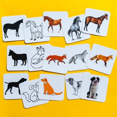 Від простого до складного. Тварини Від простого до складного. Тварини